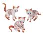 Preview: 3 Katzen (transp.-braun mit Streifen)