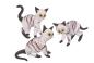 Preview: 3 Katzen (transp.-schwarz mit Streifen)