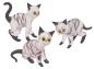 Preview: 3 Katzen (transp.-schwarz mit Streifen)