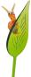 Preview: Pflanzenstecker, Blatt mit Schnecke (bunt)