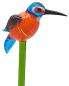 Preview: Pflanzenstecker, Eisvogel mit geschl. Flügeln