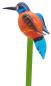 Preview: Pflanzenstecker, Eisvogel mit geschl. Flügeln