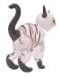 Preview: Katze stehend (transp./schwarz/gestreift)