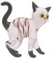 Preview: Katze stehend (transp./schwarz/gestreift)