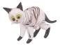 Preview: stehende Katze, (transp.-schwarz mit Streifen)