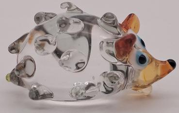 Igel, transparent