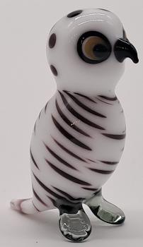 Schneeeule