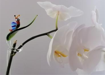 höhenverstellbarer Orchideenstab, Blatt mit Schnecke -blau-