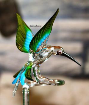 Preview: Orchideenstab - Kolibri (normale Ausführung / transp.hellblau-grün)