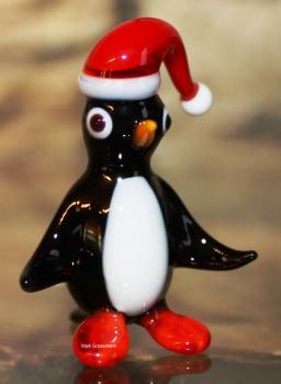 Pinguin mit Mütze