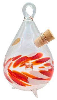 Obstfliegenfalle (transp.-rot-weiß)