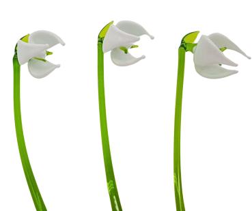 Schneeglöckchen (3er Set)