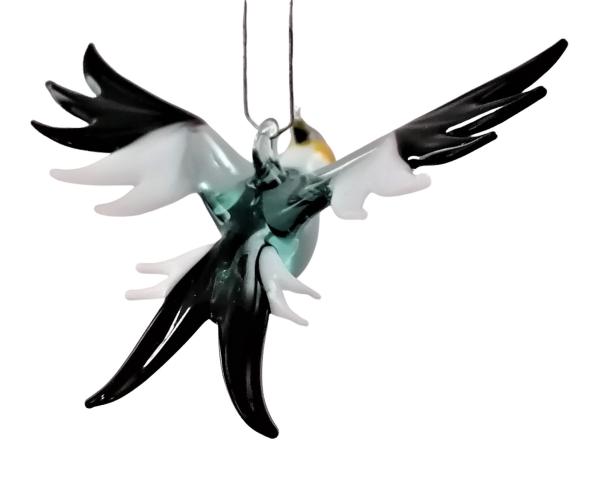 Hängevogel - Nymphensittich, klein