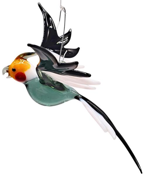 Hängevogel, Nymphensittich