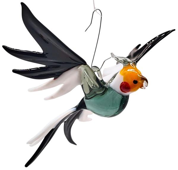 Hängevogel, Nymphensittich