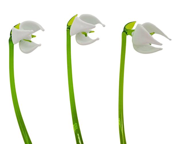 Schneeglöckchen (3er Set)